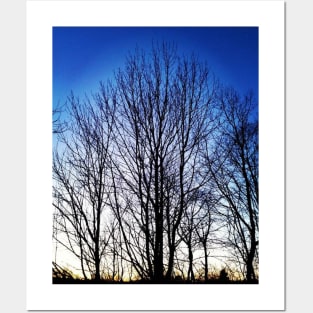 Tree Silhouette Posters and Art